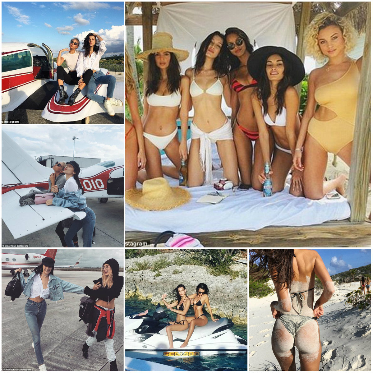 collage.jpg