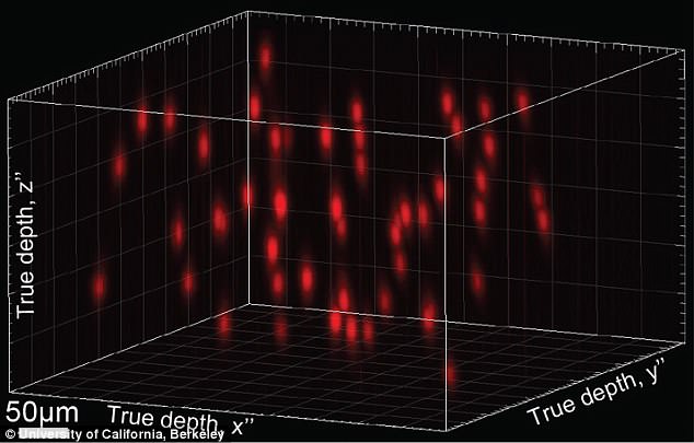 4BB95E3500000578-0-Pictured_is_a_sample_hologram_with_50_randomly_distributed_neuro-a-3_1525162721690.jpg