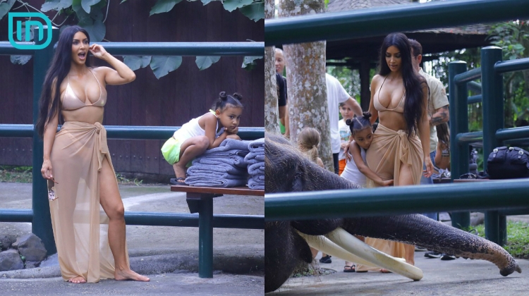 Kim Kardashian me bikini sipër elefantit! Pse ka zgjedhur këtë lloj veshje vallë? [FOTO]