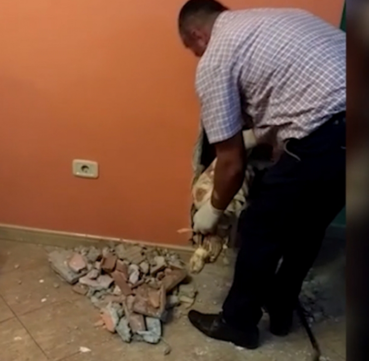 Armë dhe municione në murin e shtëpisë, arrestohet 49-vjeçari në Tiranë [VIDEO]