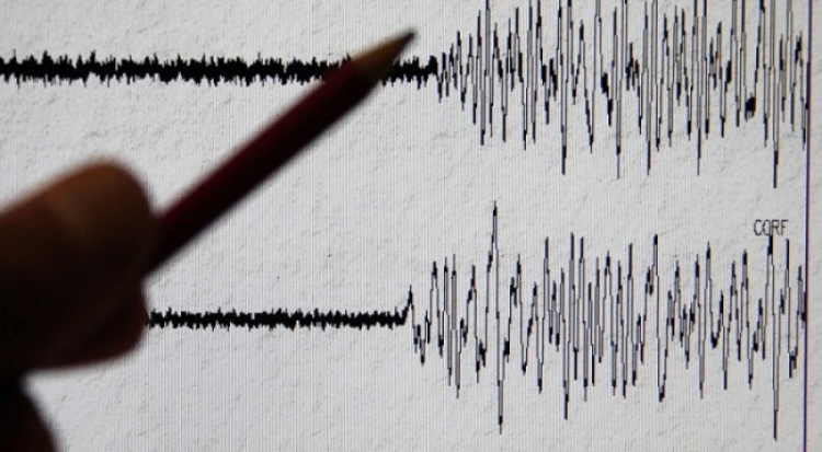 Fier: Lëkundje tërmeti në mesnatë, ankth e panik te banorët [FOTO]