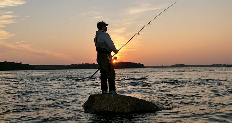 Publikohen rregullat e reja për peshkim