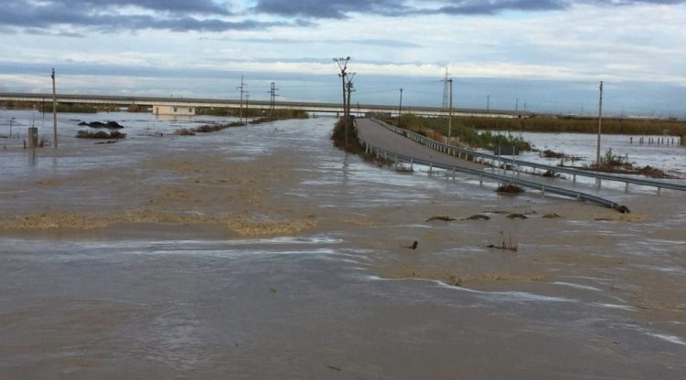 Fier, 3 persona mbetën të bllokuar nga vërshimi i Vjosës, shpëtohen nga policia