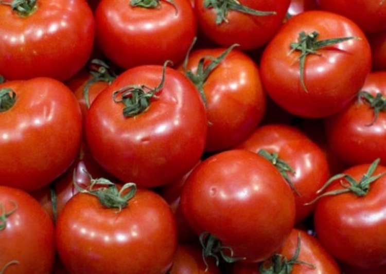 Greqia asgjëson 4.6 tonë domate të importuara nga Shqipëria dhe Italia