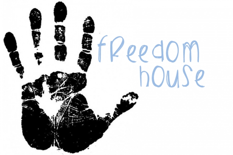 Media në përkeqësim, Freedom House: Shqipëria shumë hapa pas