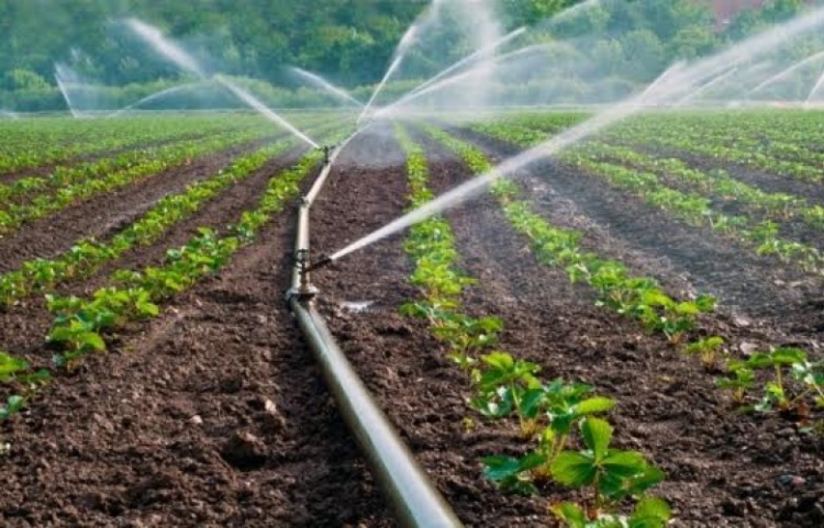 Një taksë më shumë për fermerët/ Kush ka tokë do paguaj taksë për ujitjen pavarësisht nëse e përdor apo jo [VIDEO]