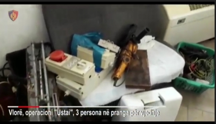 Operacioni i koduar “Ustai”, policia arreston në Vlorë 3 hajdutë mes tyre dhe një 14-vjeçar
