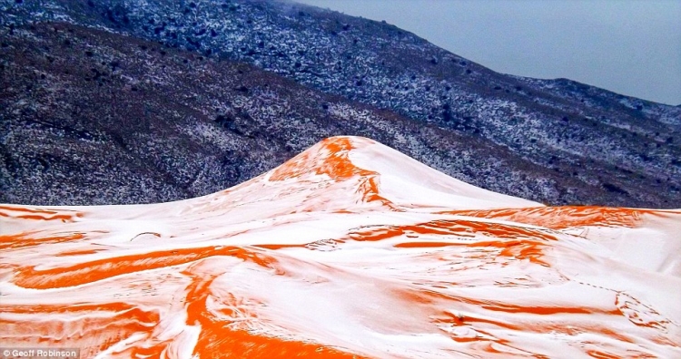 Bie borë në shkretëtirën e Saharasë për herë të parë pas 37-vitesh