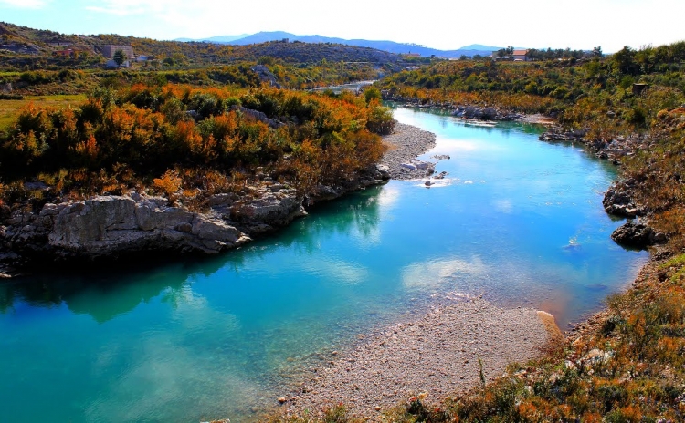 IUCN: Ndërtimi i HEC-eve rrezikon të shkatërrojë faunën e ujërave të ëmbla [VIDEO]