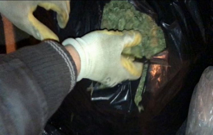 Shpëtim Kola, është arrestuar ditën e sotme në qytetin e Durrësit pasi në banesën e tij u gjetën 147 kg marijuanë