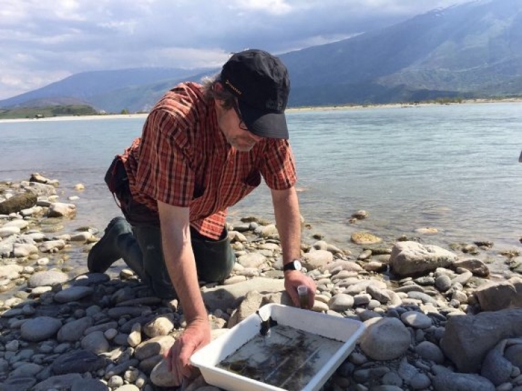 Ambientalistët europianë kundër aeroportit të Vlorës, i shkruajnë letër Edi Ramës