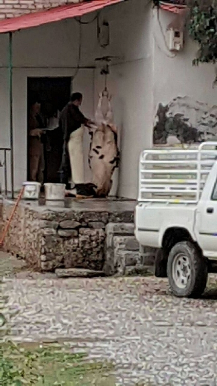 AKU gjobit 94 njësi të thertoreve ilegale dhe bllokon tonelata mishi