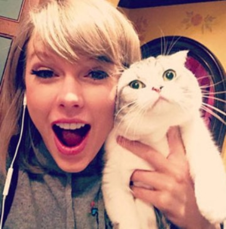 Shihni si e inaguron Taylor Swift ‘Insta Stories’ [VIDEO]