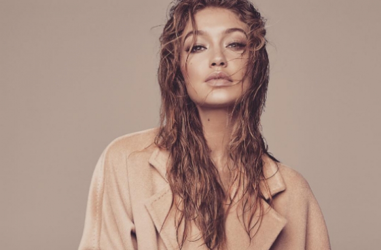 Fansi tenton të marrë në krahë Gigi Hadid, ja si e mbron veten modelja [FOTO]