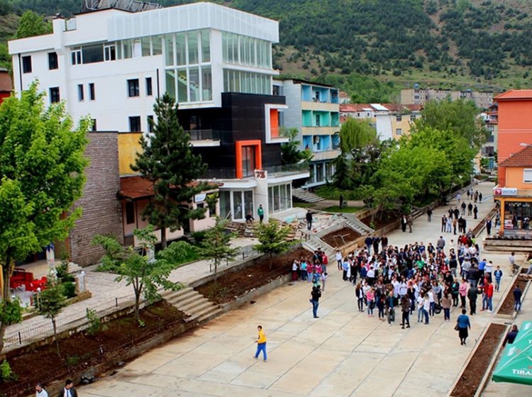 Analizat paraprake, uji nuk është shkaktari i helmimit të banorëve në Bulqizë