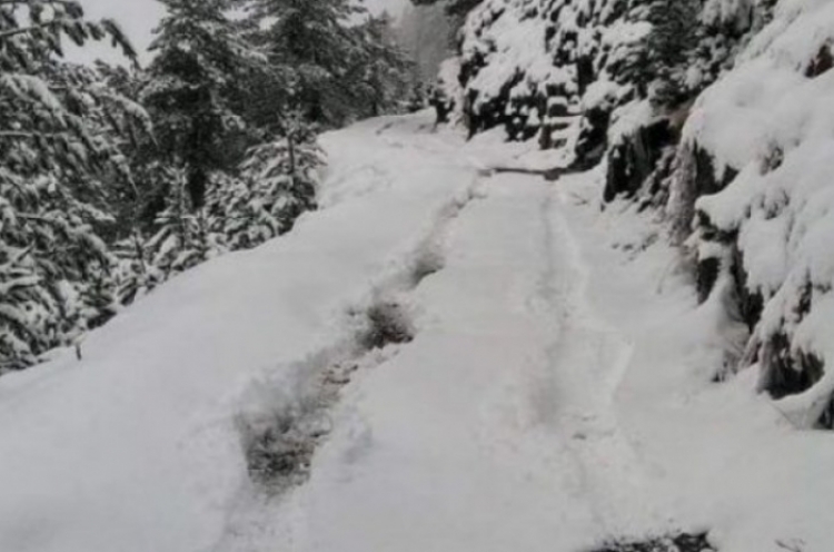 Dibër, dëbora arrin 55 centimetra në fshatin Trebishtë, banorët apel për ndihmë