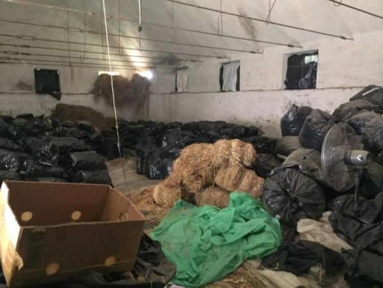 Gjykata e Apelit në Vlorë rikthehen në burg 58-vjeçarin, Rakip Arapaj, poseduesi i 5 tonë drogë të sekuestruara në Llakatund, aktualisht i arratisur