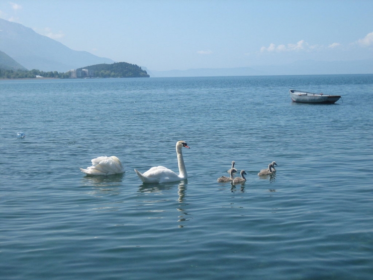 Liqeni i Ohrit po “kërcënohet” nga…