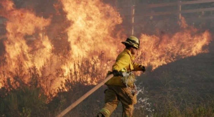 Zjarret djegin 167 ha, Çako: Të qëllimshme, pushteti vendor përgjegjësi kryesor