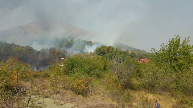 I vunë flakën maces dhe e përdorën për ti vendosur zjarrin pyllit të Bushatit