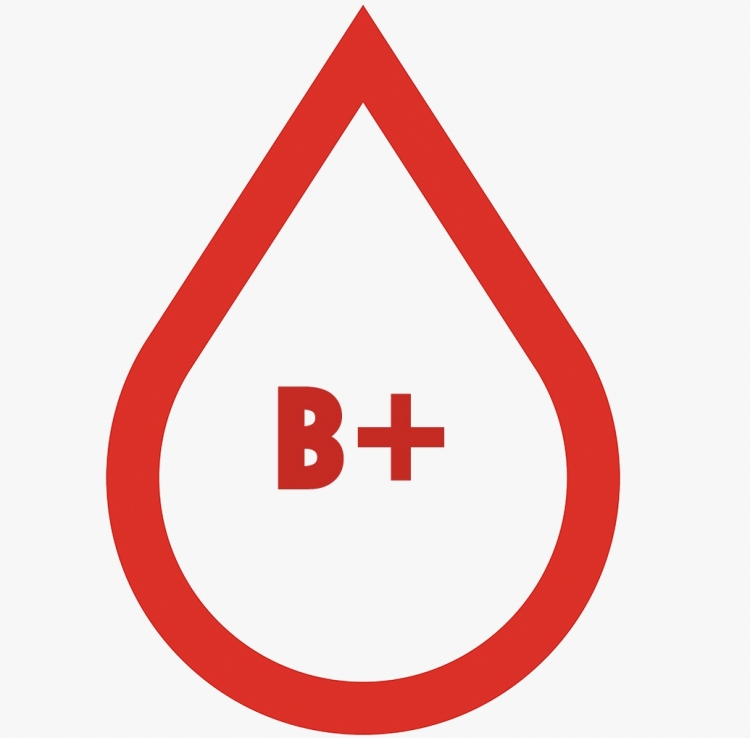 6 Karakteristikat që nuk i dinit për njerëzit me grupin e gjakut B+