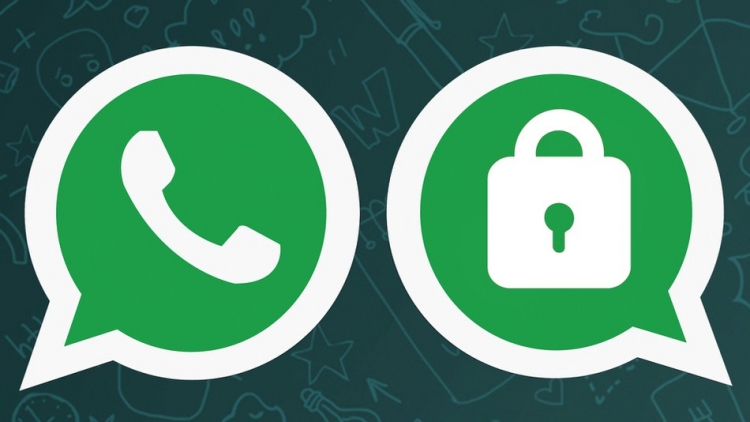 Hakerat godasin WhatsApp! Accounti juaj rrezikohet po ashtu