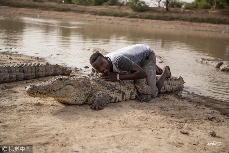 Njihuni me vendin ku banorët bashkëjetojnë me krokodilët [FOTO]