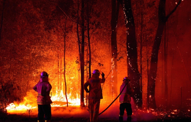 Australi: 183 persona në pranga për zjarrvënie të qëllimshme