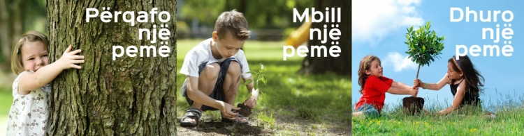 Veliaj fton qytetarët të dhurojnë pemë: Mund të zgjidhni llojin dhe vendndodhjen për mbjellje