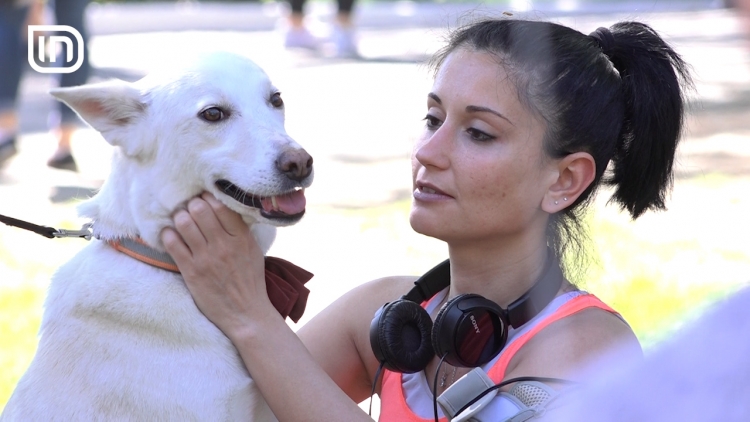 Dhurojini vetes dhe katërputroshit tuaj një fundjavë ndryshe [VIDEO]