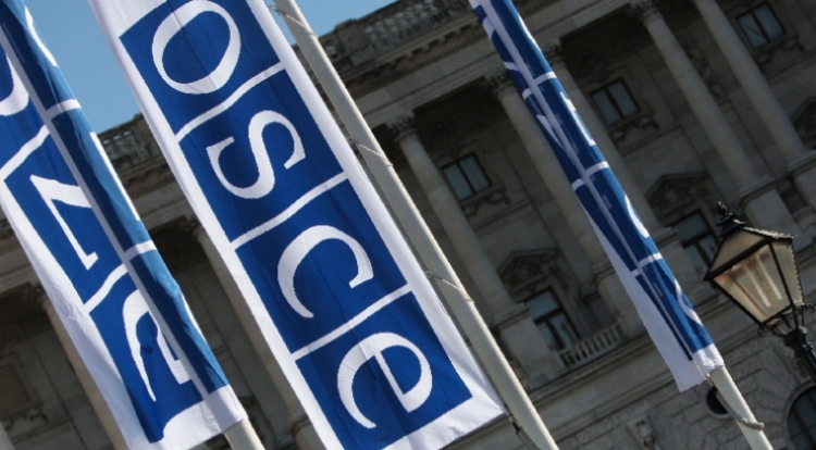 Zgjedhjet/ OSBE publikon raportin paraprak, çfarë thuhet për situatën politike