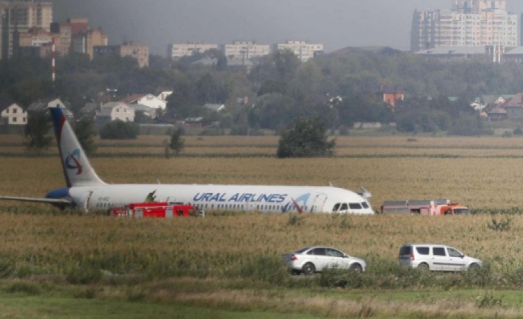Zogjtë “sulmojnë” avionin rus/ Të gjithë përfundojnë në fushën me misër [FOTO]