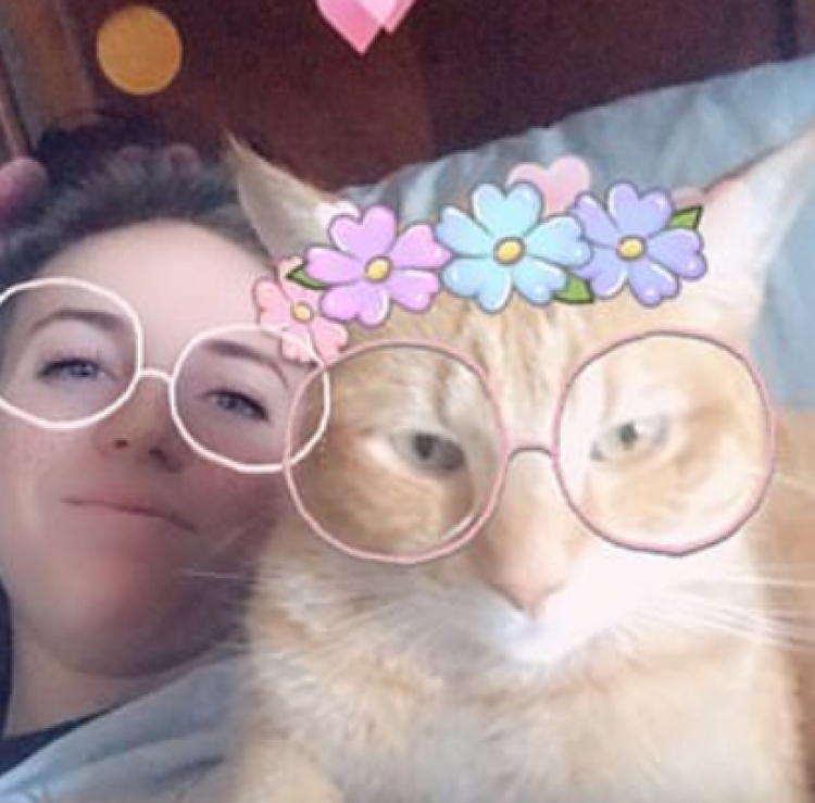 Snapchat edhe për macet, si të luani me kafshën tuaj