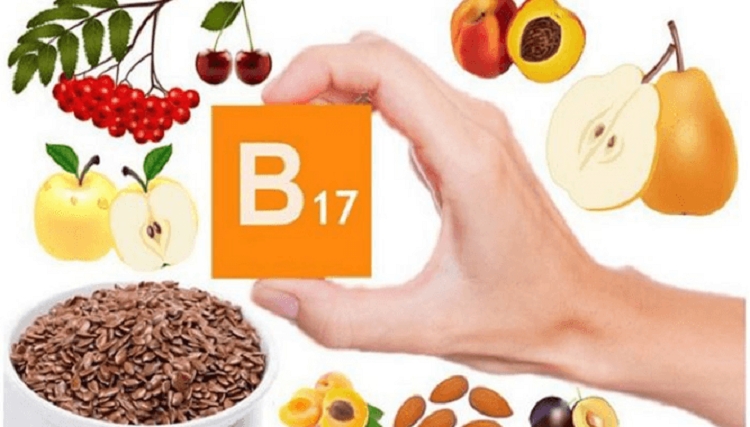 Vitamina B17! 'Molla e ndaluar' që dikur shëronte kancerin