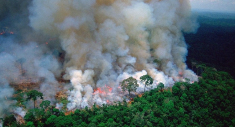Akuza e fortë e Presidentit të Brazilit: Ju tregoj kush po e djeg Amazonën për të fituar para!