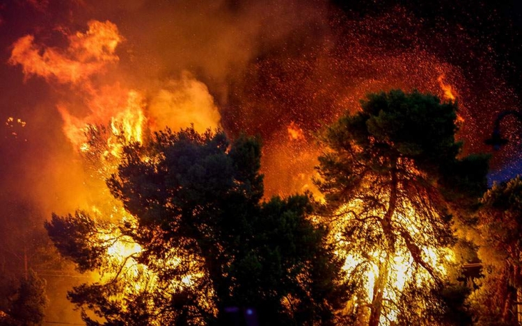 Tragjike, mes viktimave dyshohen se 5 janë shtetas shqiptarë, 2 prej tyre fëmijë