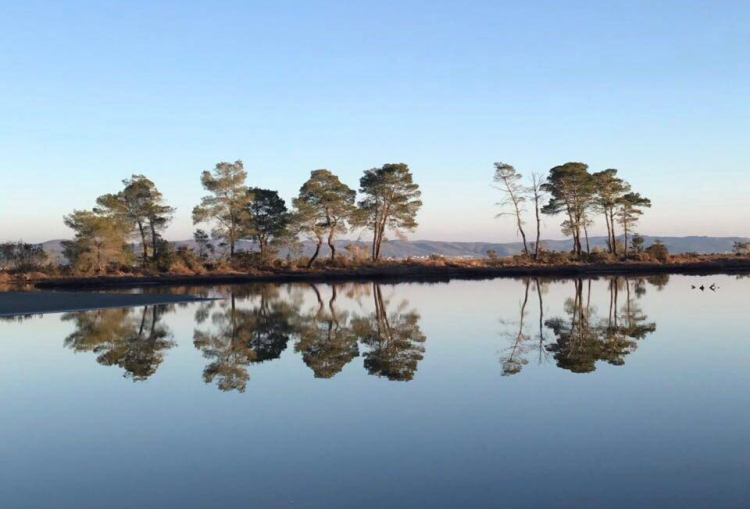 Udhëtim me varkë në Parkun Kombëtar të Divjakës [FOTO]