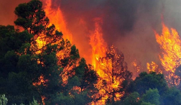Pyjet e Krujës përfshihen nga flakët, zjarrëfikësit në këmbë për shkak të terrenit të vështirë