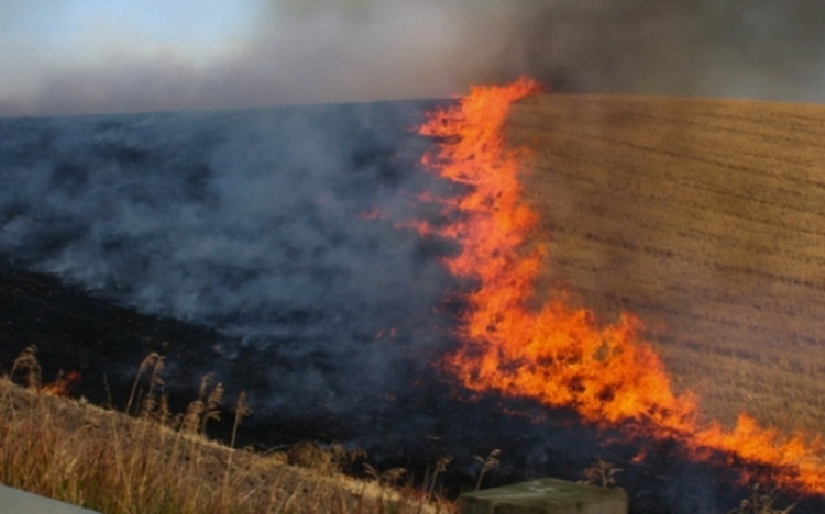 Zjarri i përmasave të mëdha në Milot, flakët i afrohen Rrugës së Kombit