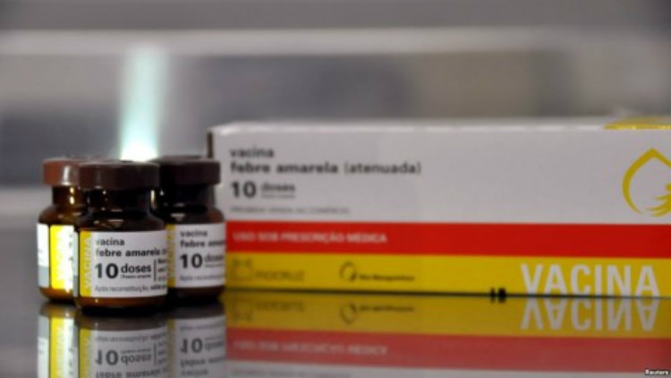 Epidemia e etheve të verdha, deri tani 40 të vdekur