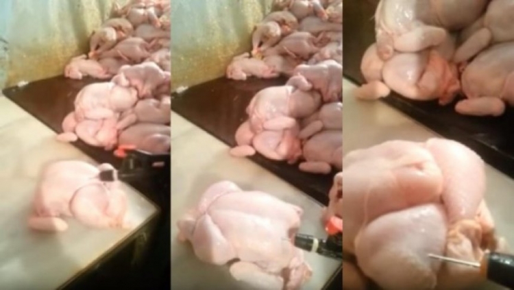 Drogë tek pulat nga Brazili