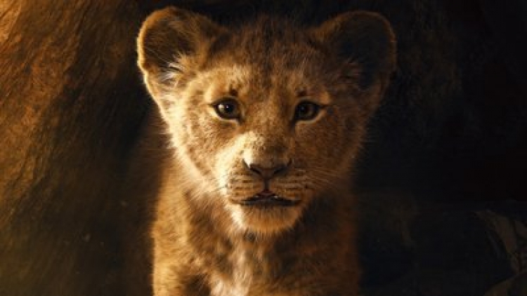 A ju kujtohet Simba nga “Mbreti Luan”, tashmë vjen traileri i ri nga Disney dhe duket fantastik[VIDEO]