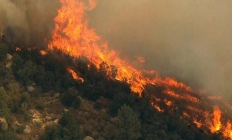 I nxehti s'po kursen as pyjet më të mëdha në botë! 72 mijë zjarre vetëm në 2019