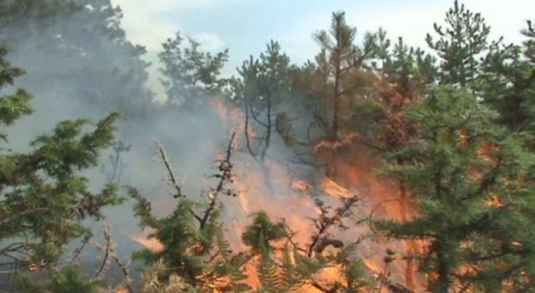 Situatë alarmante prej temperaturave të larta, qytetet shqiptare nën “flakë”