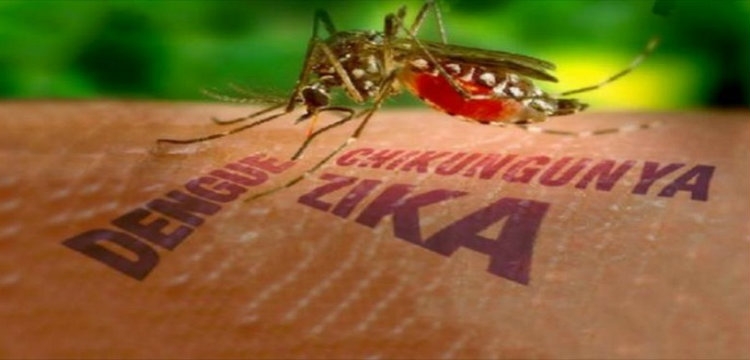 Ekspertët: Rrezik pandemie nga virusi “Zika”