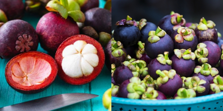 Mangosteen: I njihnit vlerat e këtij fruti të rrallë? [FOTO]