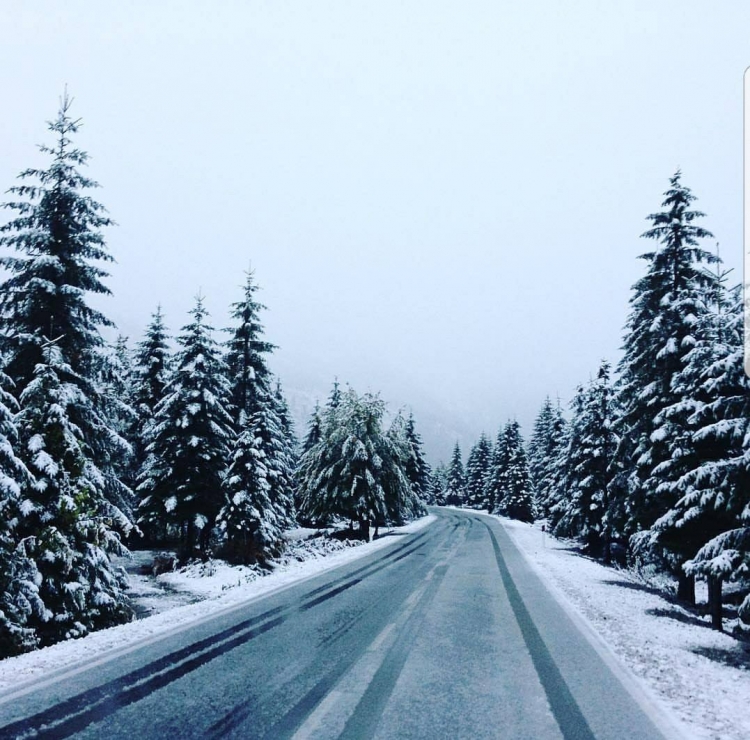 Nisin reshjet e borës,  zbardhen disa zona të Shqipërisë