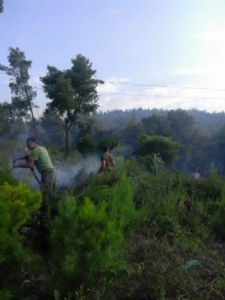Zjarri në Shëngjin: Përkeqësohet situata, arrestohet autori