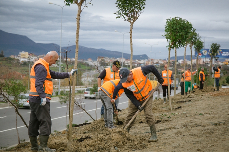 Veliaj: “Çdo i rritur të dhurojë një pemë, 2018 do jetë akoma më e mirë për Tiranën”