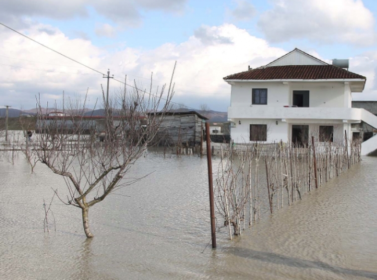 Përmbytjet në Shkodër, bashkia jep detaje për situatën, kërkon shpalljen e emergjencës